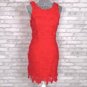 ASTR Lace Dress